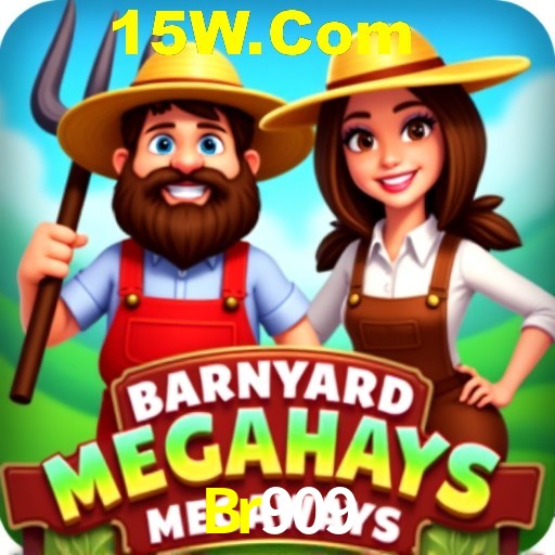 Experiência VIP Br909