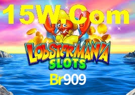 Explore as vantagens do Br909: serviço profissional e confiabilidade