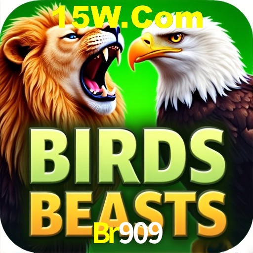 Sistemas de Segurança Br909