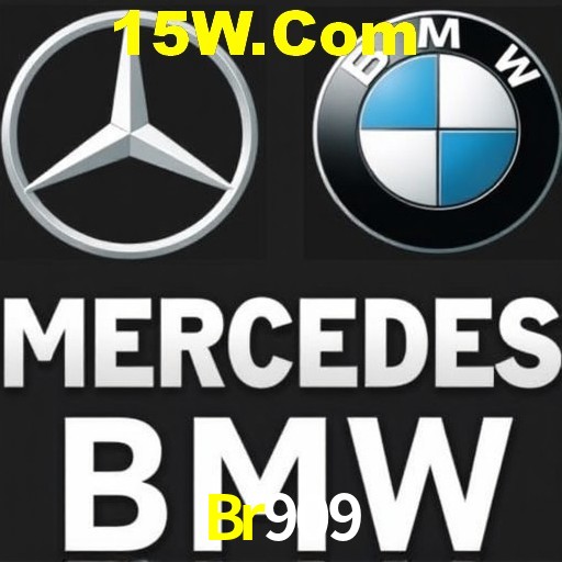 Security Systems Br909